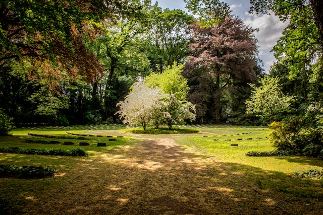 L’aménagement paysager d’un jardin minimaliste